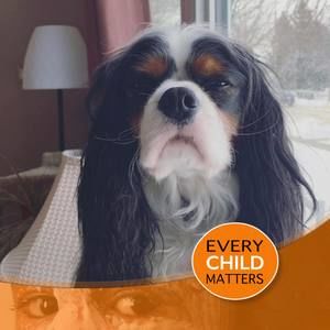 Meet your Posher, Max